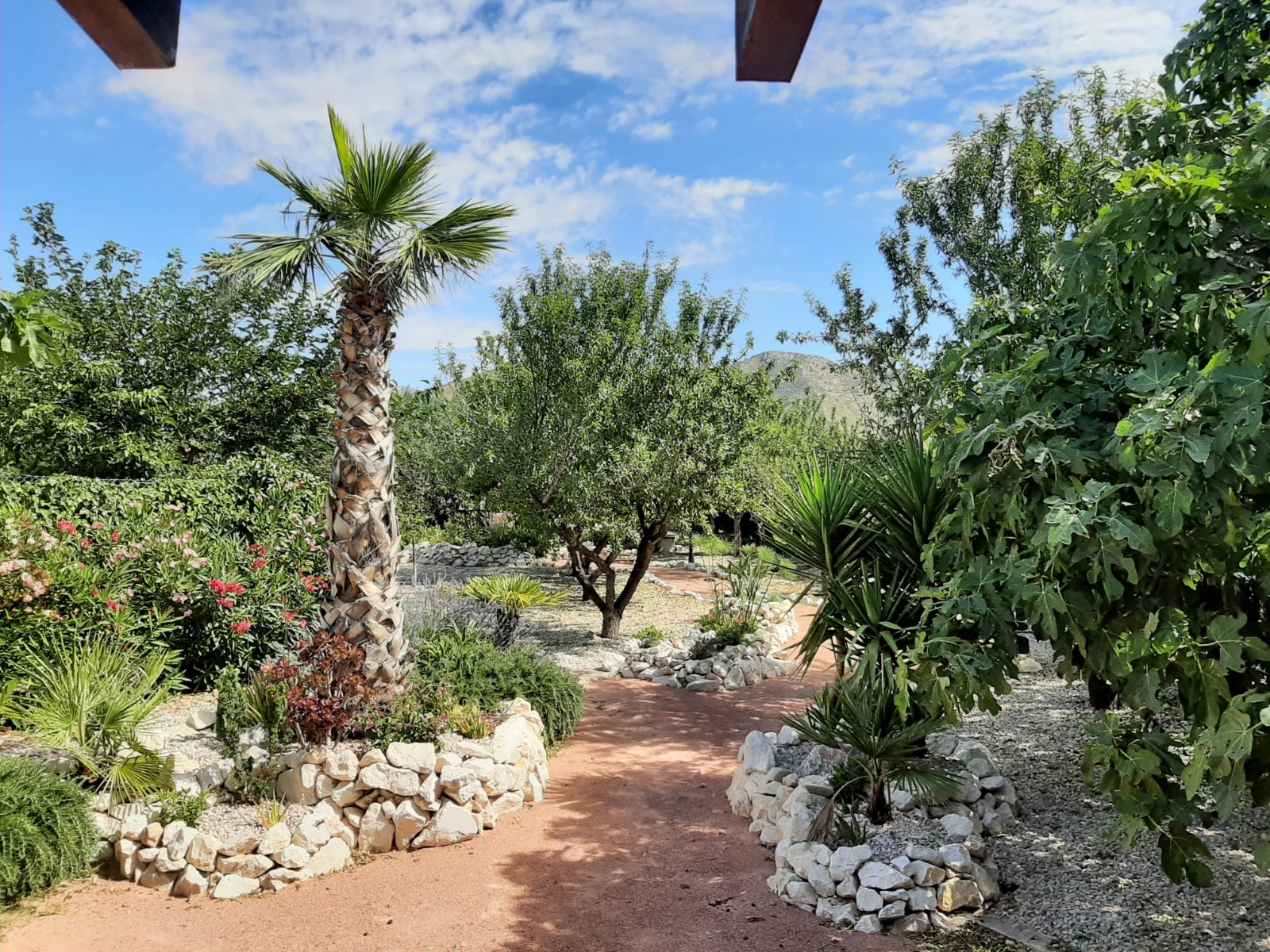 Villa in Barbarroja (Ref: BRJ-ER850)