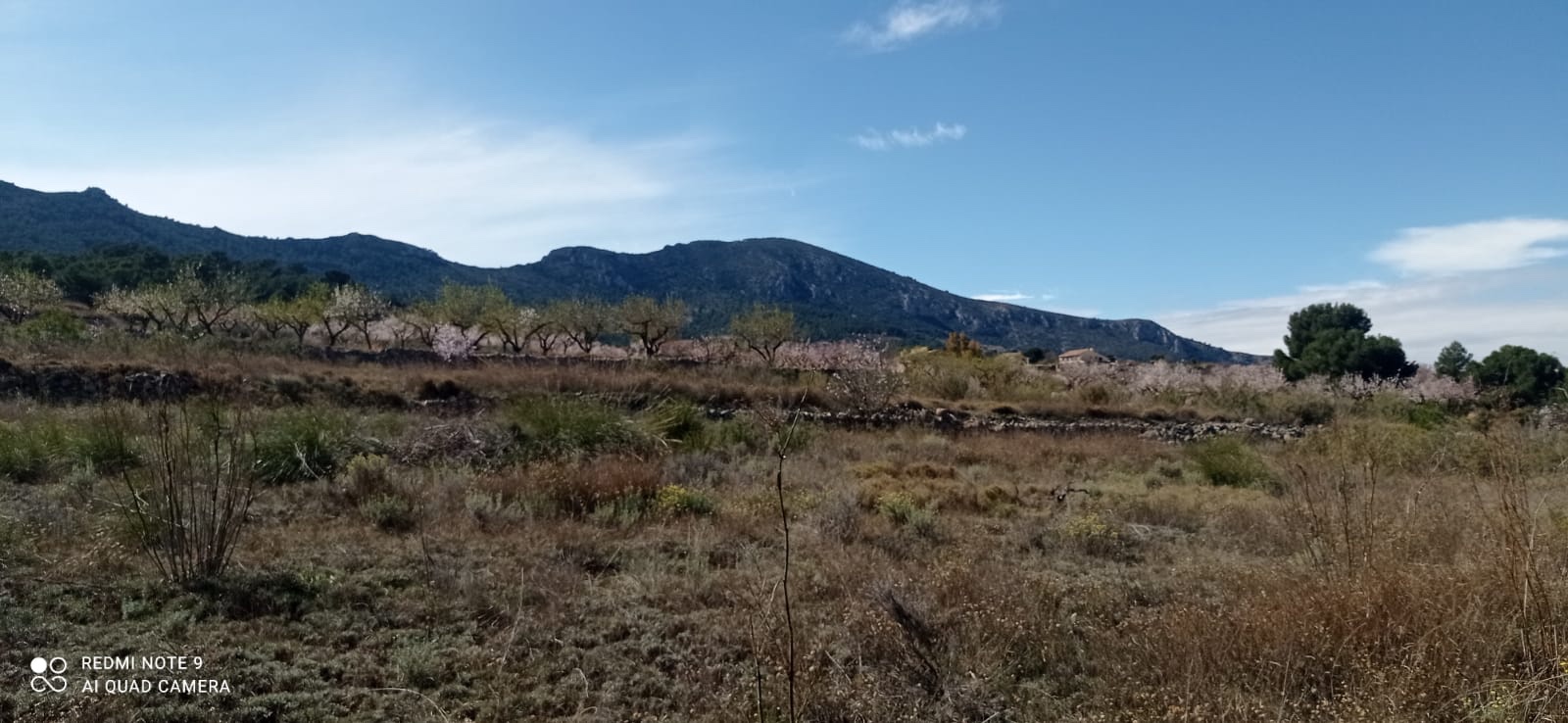 Plot in La Romana (Ref: ALG-PLC35)