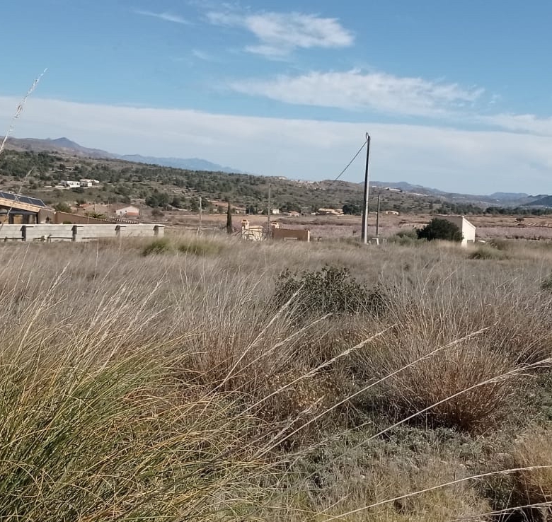 Plot in La Romana (Ref: ALG-PLC35)