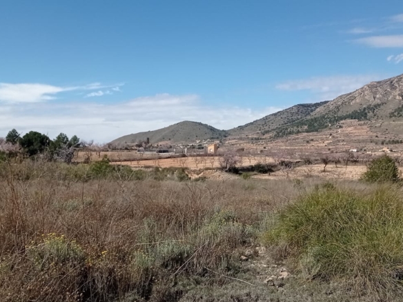 Plot in La Romana (Ref: ALG-PLC35)