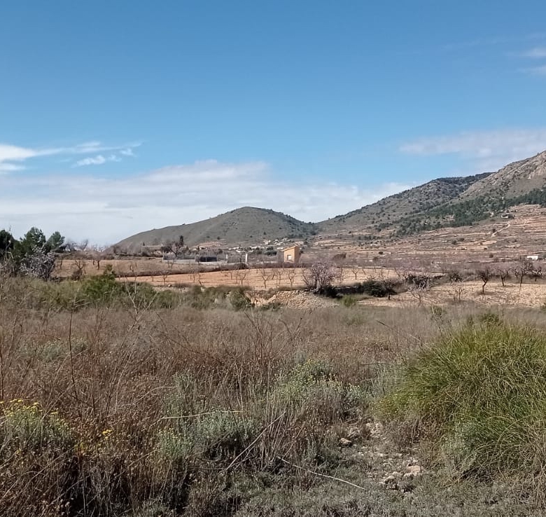 Plot in La Romana (Ref: ALG-PLC35)