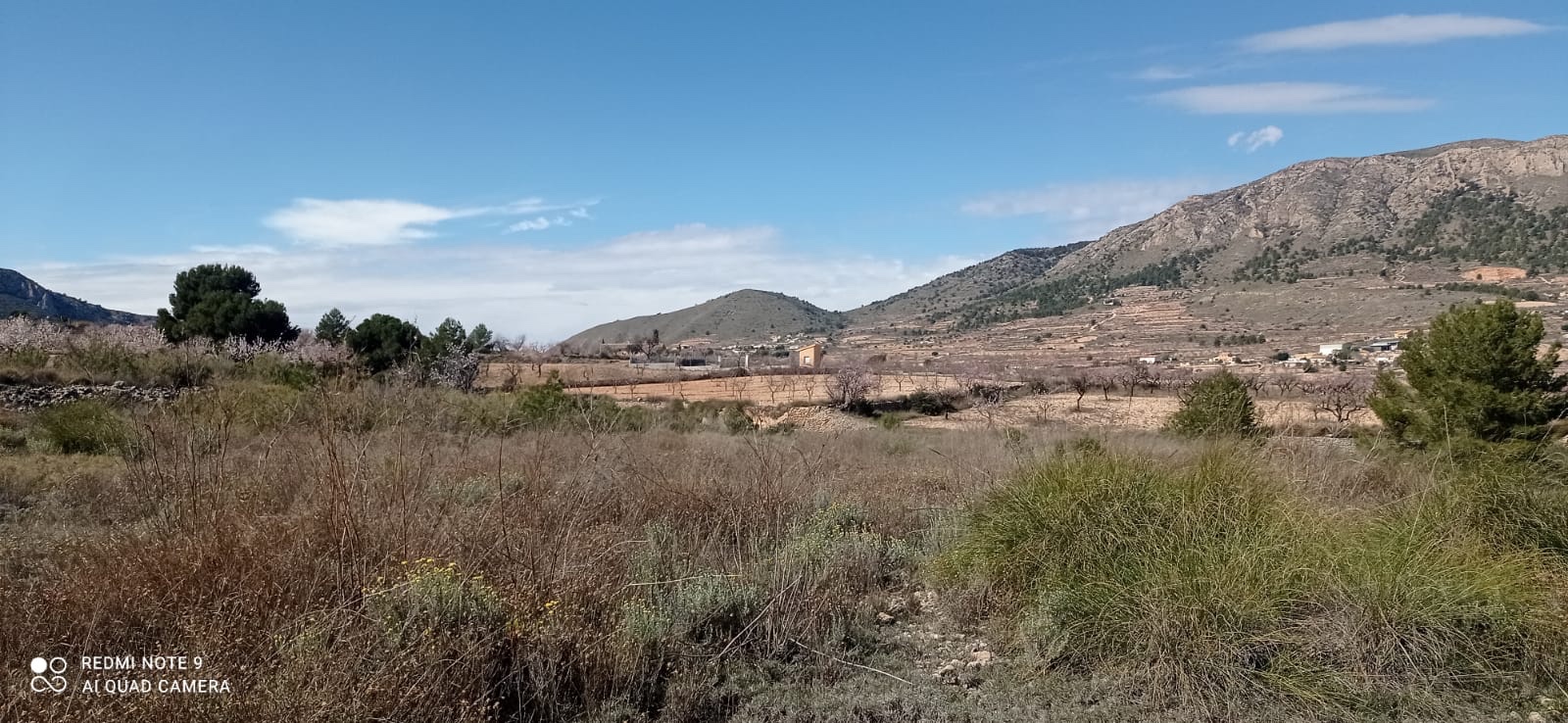 Plot in La Romana (Ref: ALG-PLC35)