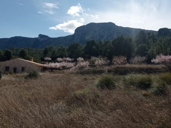 Plot in La Romana (Ref: ALG-PLC35)