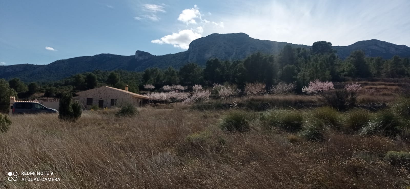 Plot in La Romana (Ref: ALG-PLC35)
