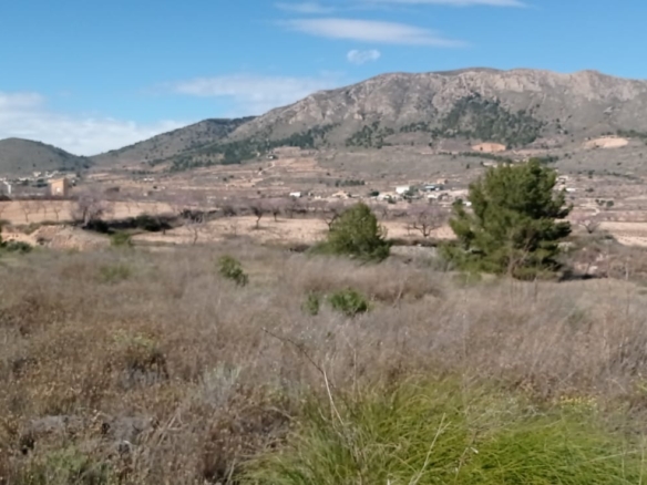 Plot in La Romana (Ref: ALG-PLC35)