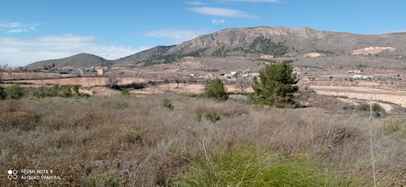 Plot in La Romana (Ref: ALG-PLC35)