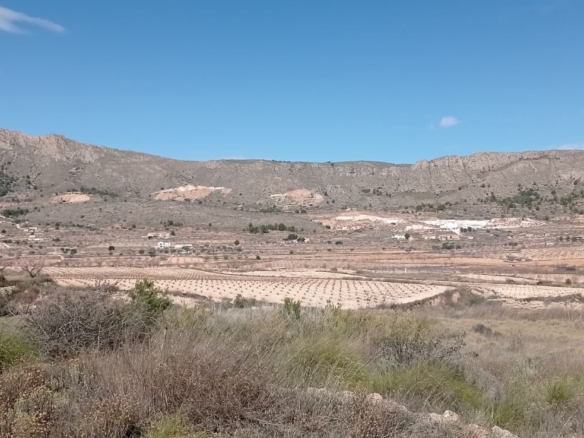 Plot in La Romana (Ref: ALG-PLC35)