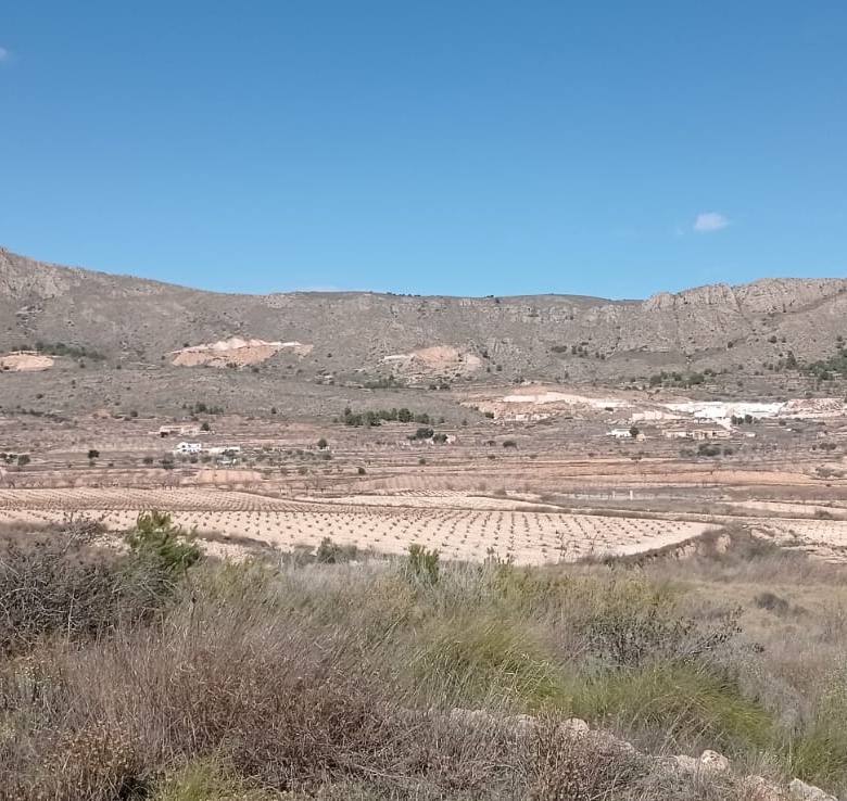 Plot in La Romana (Ref: ALG-PLC35)