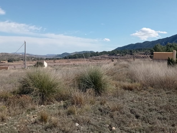Plot in La Romana (Ref: ALG-PLC35)