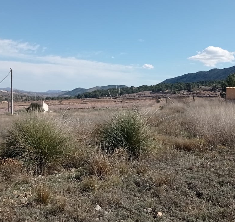 Plot in La Romana (Ref: ALG-PLC35)