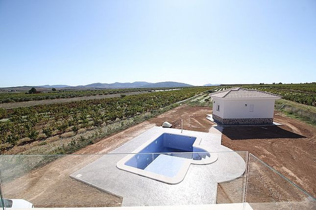 Villa in Pinoso (Ref: AM-PNLCY150)