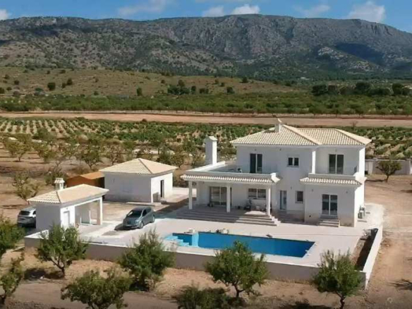 Villa in Pinoso (Ref: AM-PNLCY220)
