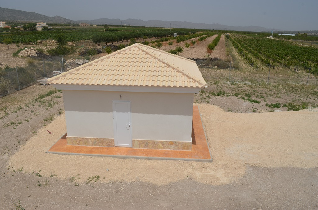 Villa in Pinoso (Ref: AM-PNLCY225)