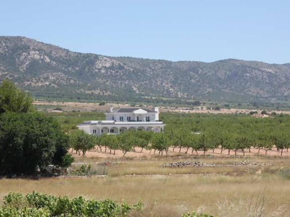 Villa in Pinoso (Ref: AM-PNLCY245)