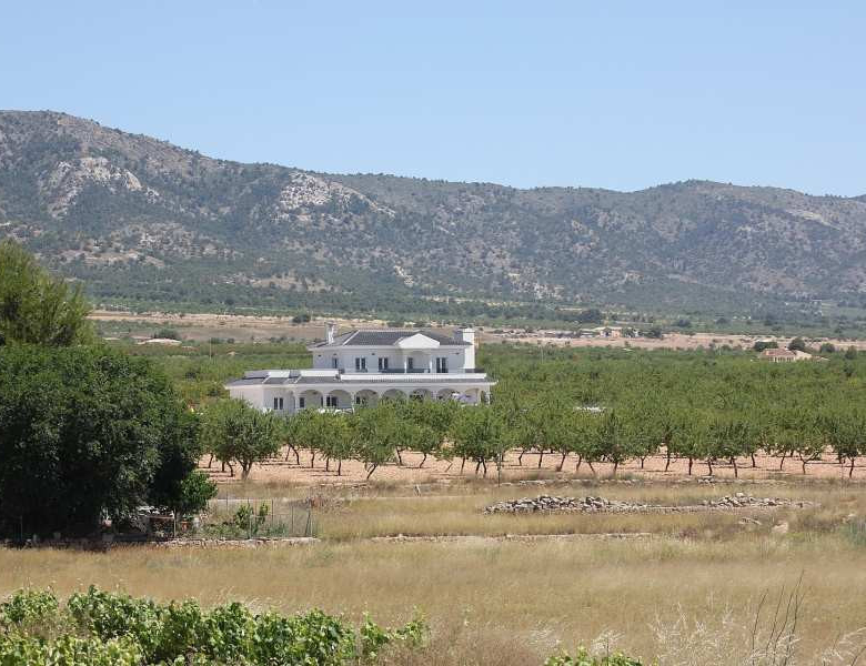 Villa in Pinoso (Ref: AM-PNLCY245)