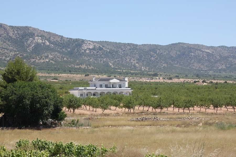 Villa in Pinoso (Ref: AM-PNLCY245)