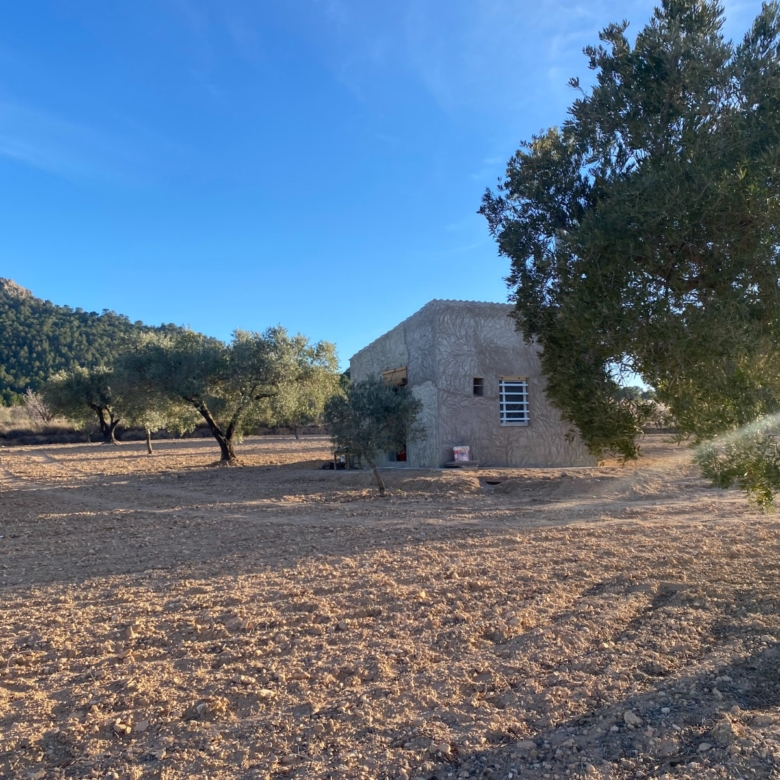Land For Sale in Elda (Ref: T23114)