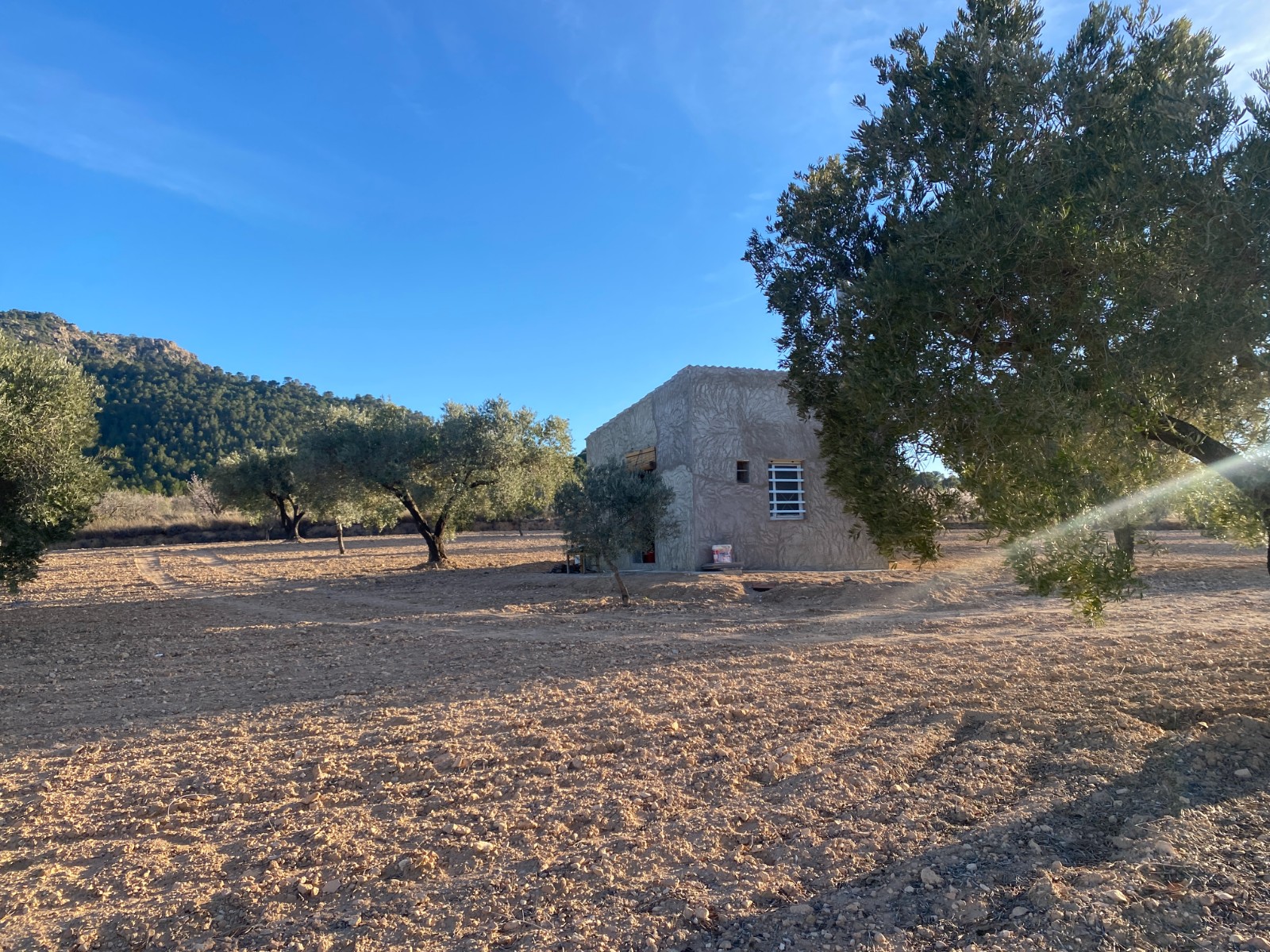 Land For Sale in Elda (Ref: T23114)