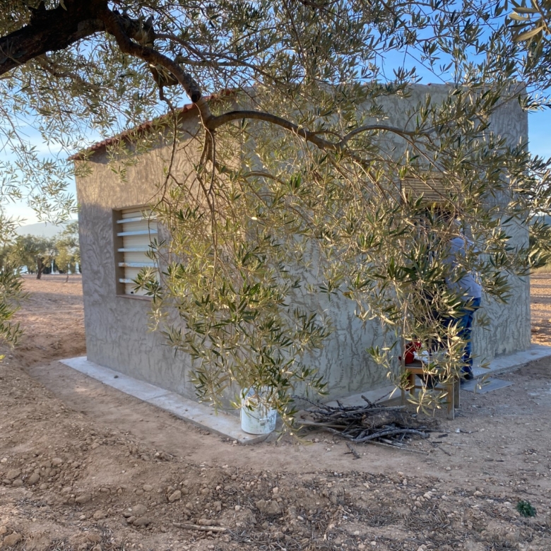 Land For Sale in Elda (Ref: T23114)