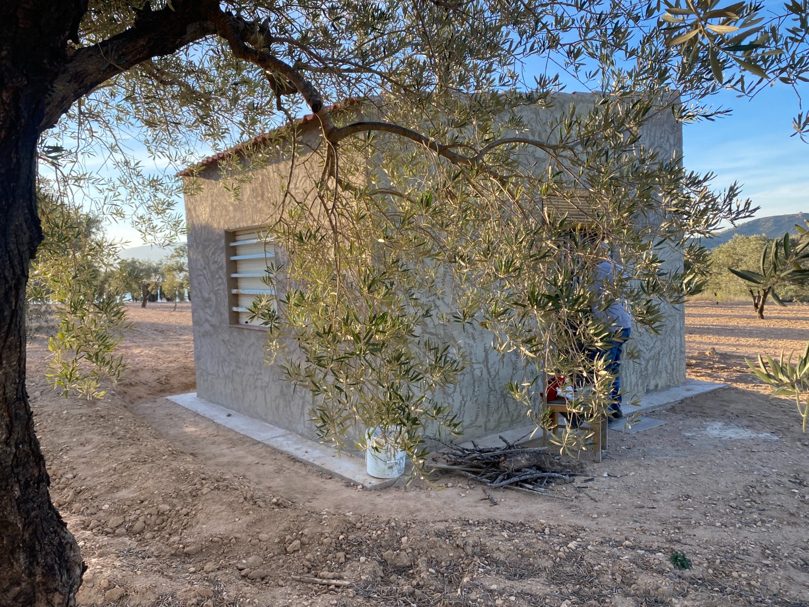Land For Sale in Elda (Ref: T23114)