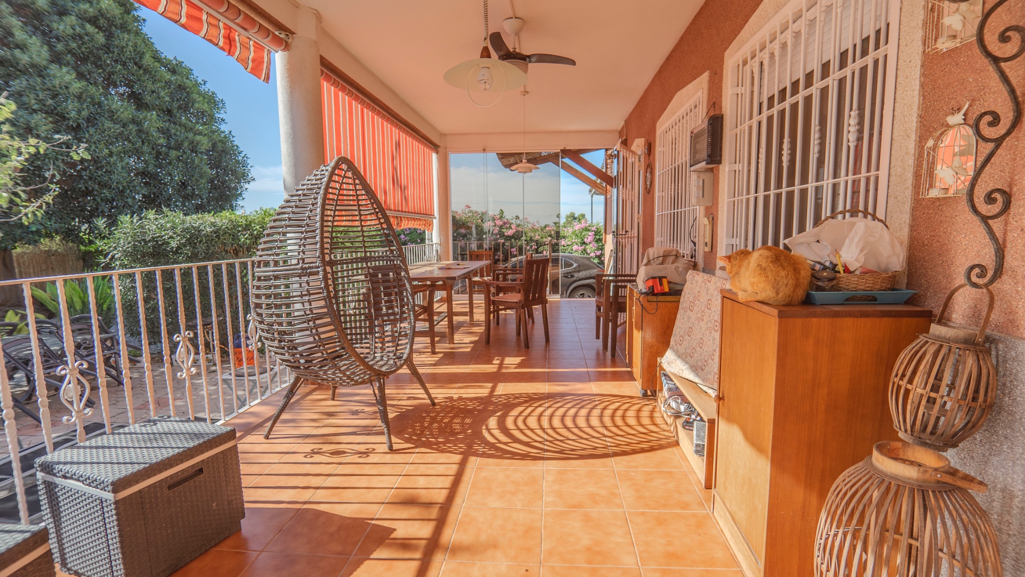 Country Property in Orihuela (Ref: DLF084)