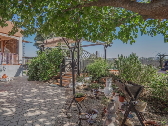 Country Property in Orihuela (Ref: DLF084)