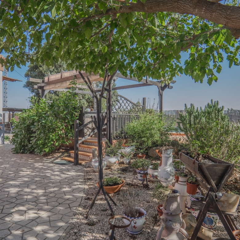 Country Property in Orihuela (Ref: DLF084)