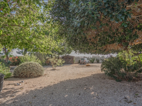 Country Property in Orihuela (Ref: DLF084)