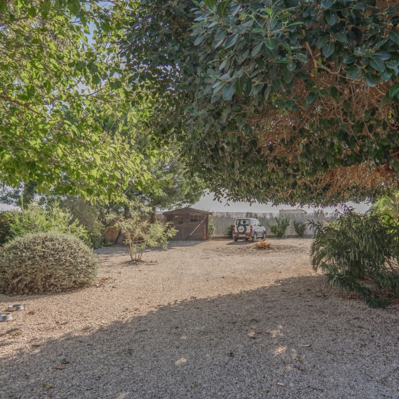Country Property in Orihuela (Ref: DLF084)