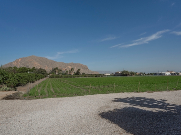 Country Property in Orihuela (Ref: DLF084)