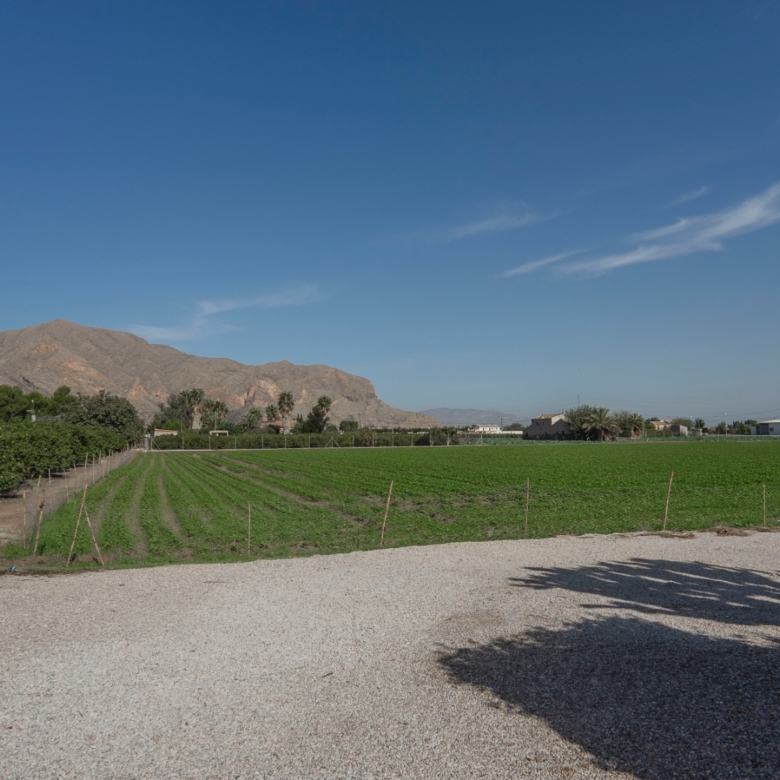 Country Property in Orihuela (Ref: DLF084)