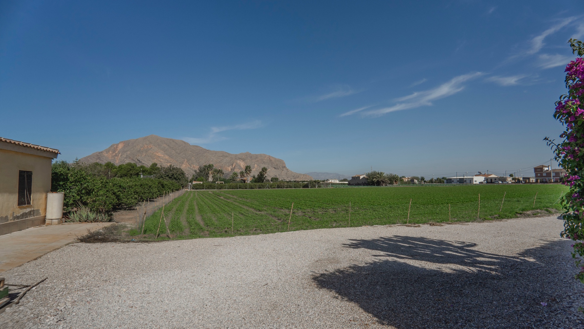 Country Property in Orihuela (Ref: DLF084)