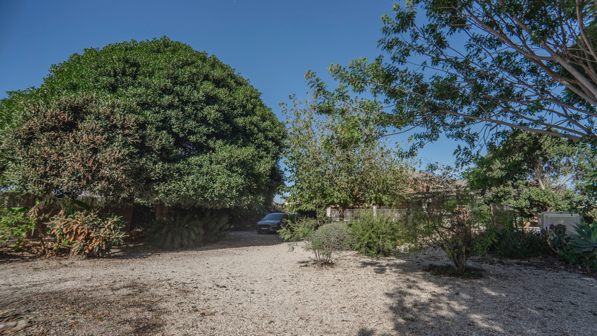 Country Property in Orihuela (Ref: DLF084)