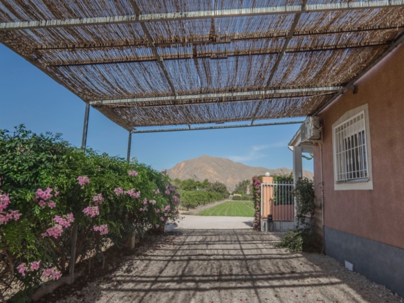 Country Property in Orihuela (Ref: DLF084)