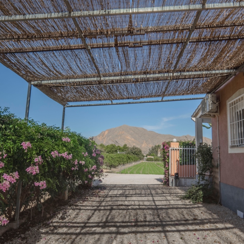 Country Property in Orihuela (Ref: DLF084)