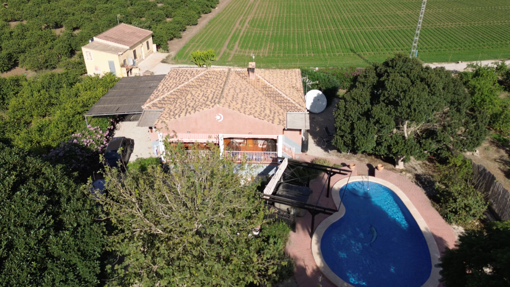 Country Property in Orihuela (Ref: DLF084)