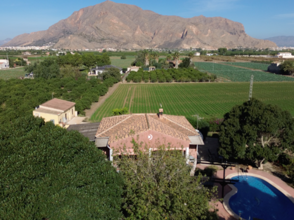 Country Property in Orihuela (Ref: DLF084)