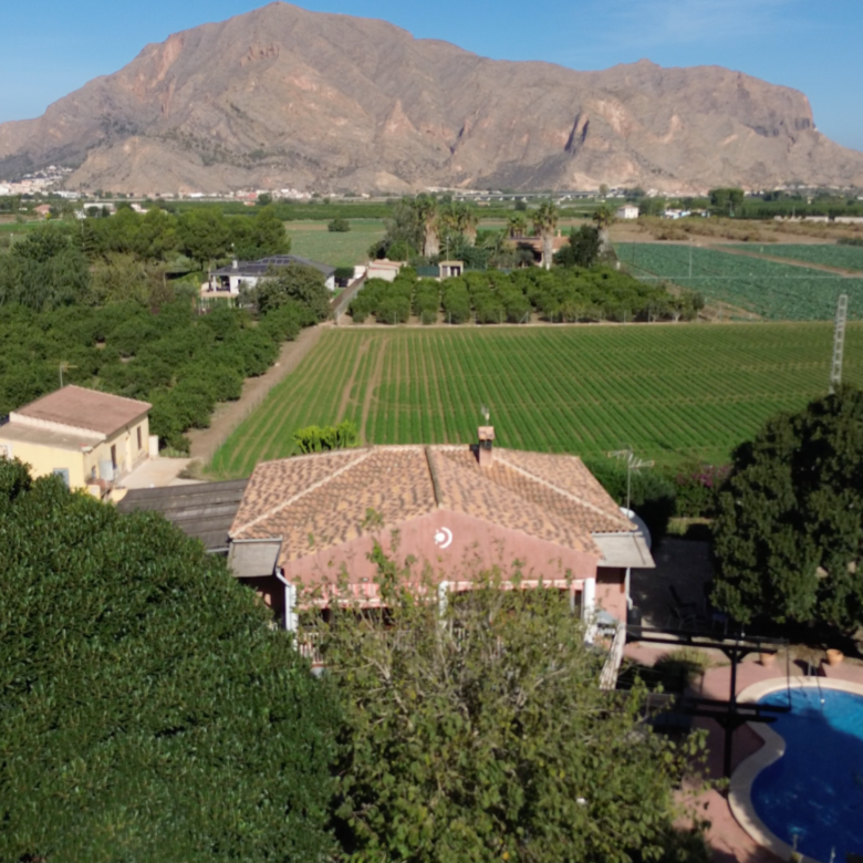 Country Property in Orihuela (Ref: DLF084)