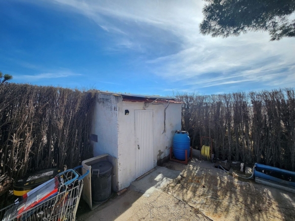 Finca/Rustic Property in Villena (Ref: 5020)