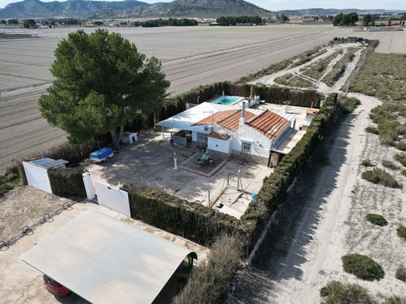 Finca/Rustic Property in Villena (Ref: 5020)