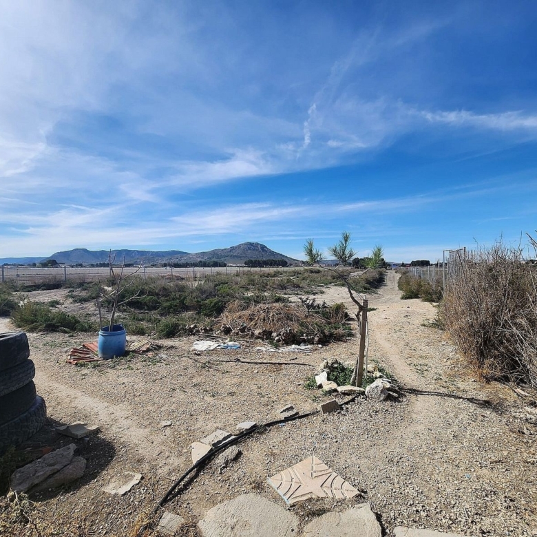 Finca/Rustic Property in Villena (Ref: 5020)
