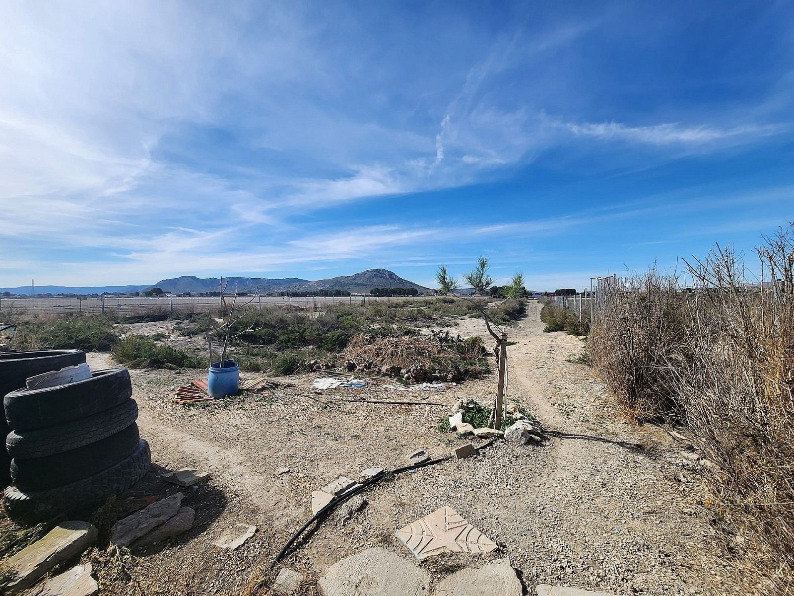 Finca/Rustic Property in Villena (Ref: 5020)