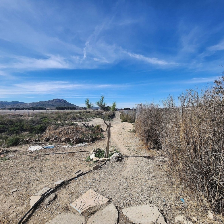 Finca/Rustic Property in Villena (Ref: 5020)