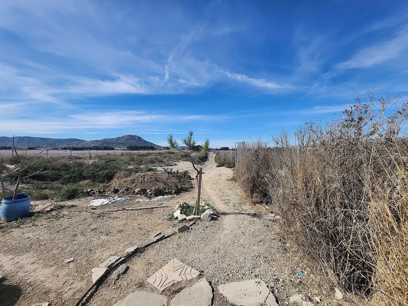 Finca/Rustic Property in Villena (Ref: 5020)