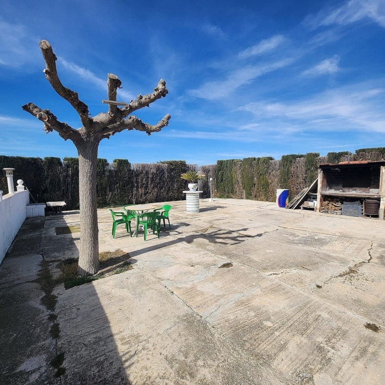 Finca/Rustic Property in Villena (Ref: 5020)
