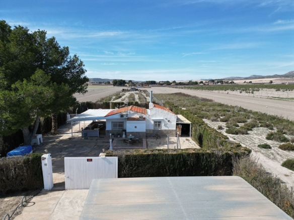 Finca/Rustic Property in Villena (Ref: 5020)