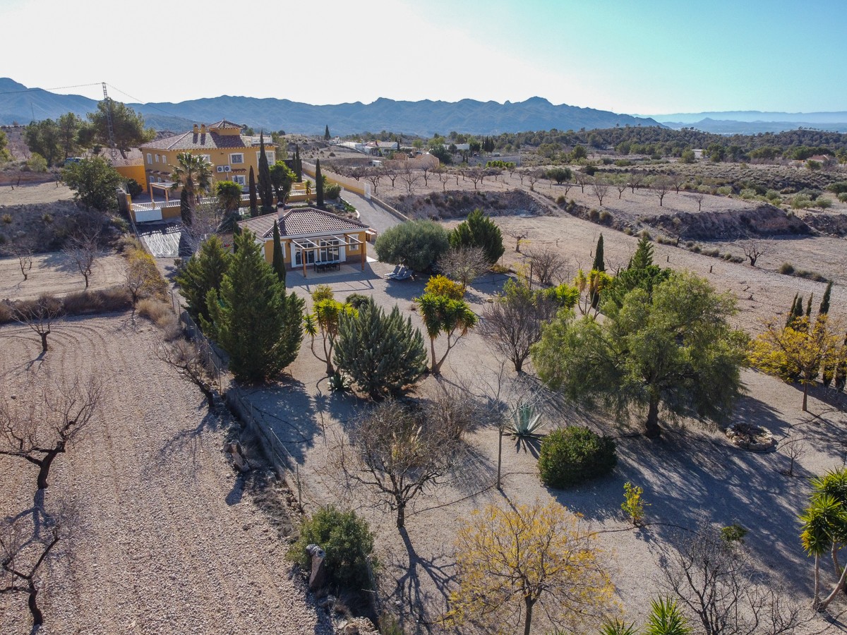 Villa in Abanilla (Ref: 4105)