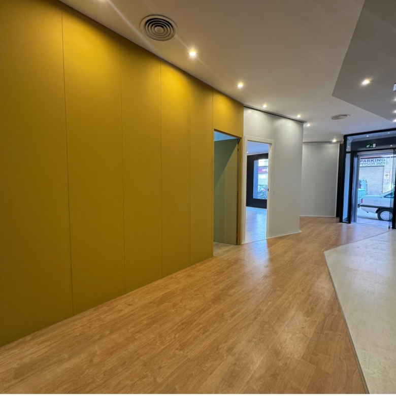 Commercial in Guardamar del Segura (Ref: DLF095)
