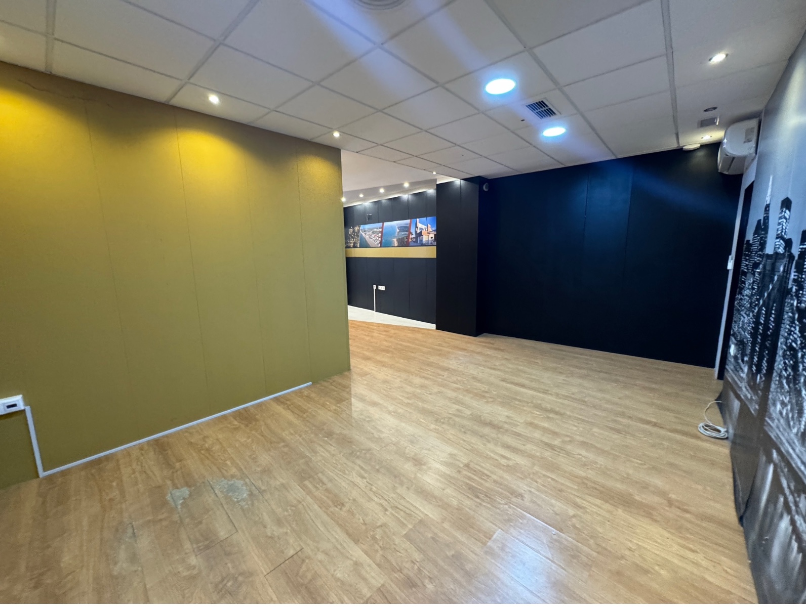 Commercial in Guardamar del Segura (Ref: DLF095)