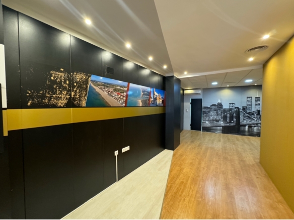 Commercial in Guardamar del Segura (Ref: DLF095)